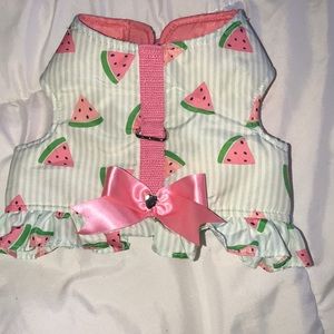 Dog halter leash